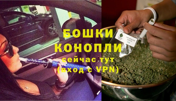 трава Зеленокумск