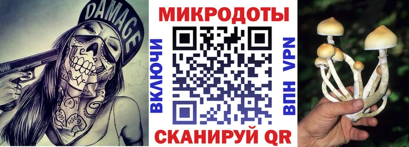 Псилоцибиновые грибы мухоморы Кандалакша